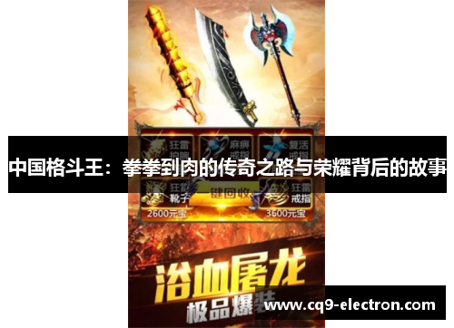 中国格斗王：拳拳到肉的传奇之路与荣耀背后的故事