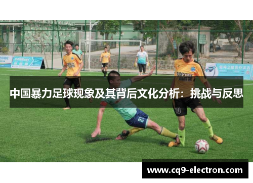 中国暴力足球现象及其背后文化分析：挑战与反思